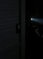 twd1114_scnet_1609.jpg
