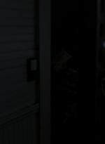 twd1114_scnet_1610.jpg