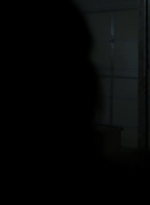 twd1114_scnet_1614.jpg