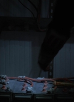 twd1114_scnet_1627.jpg
