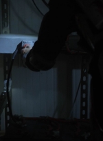twd1114_scnet_1632.jpg