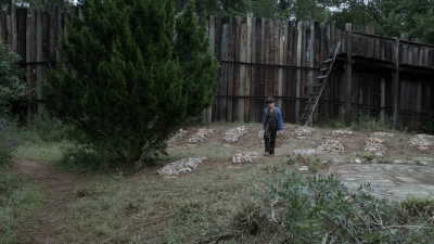 twd1115_scnet_2117.jpg