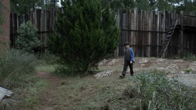 twd1115_scnet_2119.jpg