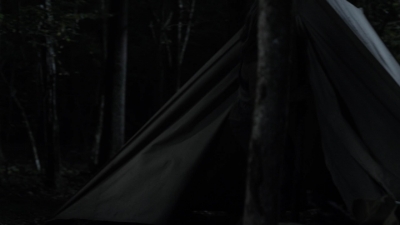 twd1115_scnet_2878.jpg