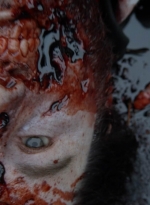 twd1115_scnet_0003.jpg