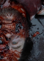 twd1115_scnet_0004.jpg