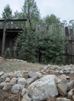 twd1115_scnet_2115.jpg
