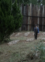 twd1115_scnet_2117.jpg