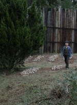 twd1115_scnet_2118.jpg