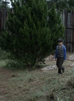 twd1115_scnet_2120.jpg