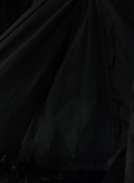 twd1115_scnet_2883.jpg