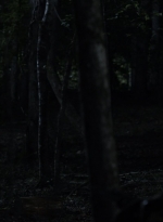 twd1115_scnet_2886.jpg