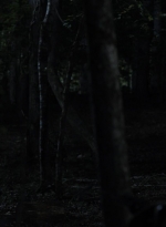 twd1115_scnet_2887.jpg
