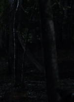 twd1115_scnet_2888.jpg