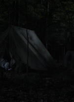 twd1115_scnet_2917.jpg