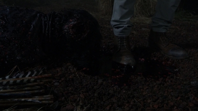twd1116_scnet_0029.jpg