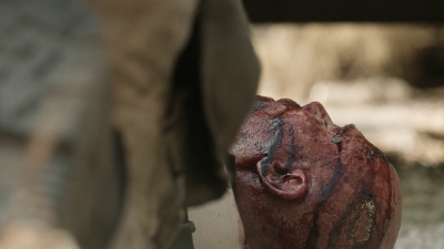 twd1116_scnet_1087.jpg