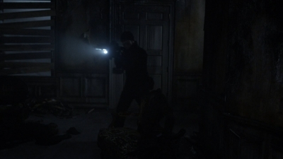 twd1116_scnet_1538.jpg