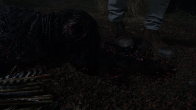 twd1116_scnet_1564.jpg