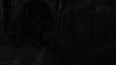 twd1116_scnet_1973.jpg