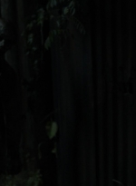 twd1116_scnet_0001.jpg