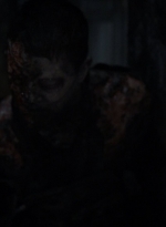twd1116_scnet_1525.jpg