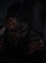 twd1116_scnet_1528.jpg