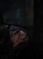 twd1116_scnet_1530.jpg