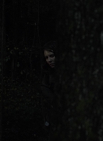 twd1116_scnet_2022.jpg