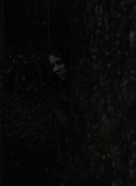 twd1116_scnet_2024.jpg