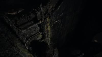 twd1117_scnet_1475.jpg