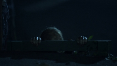 twd1119_scnet_2048.jpg