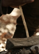 twd1119_scnet_0498.jpg