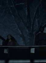 twd1119_scnet_2016.jpg