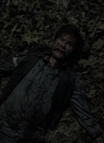 twd1120_scnet_2010.jpg