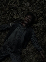 twd1120_scnet_2012.jpg