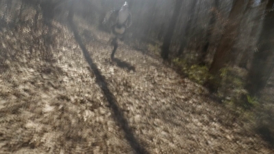 twd1121_scnet_1752.jpg