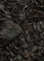 twd1121_scnet_0487.jpg