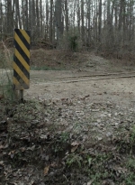 twd1121_scnet_0834.jpg