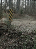 twd1121_scnet_0840.jpg