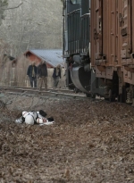 twd1121_scnet_1729.jpg