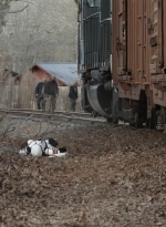 twd1121_scnet_1730.jpg