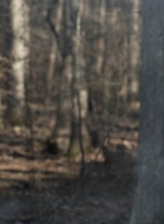 twd1121_scnet_1751.jpg