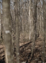 twd1121_scnet_1753.jpg
