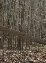 twd1121_scnet_1755.jpg