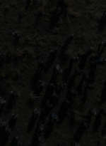 twd1122_scnet_2231.jpg
