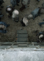 twd1123_scnet_1074.jpg