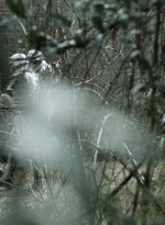 twd1123_scnet_1292.jpg