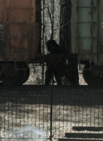 twd1123_scnet_1806.jpg