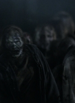 twd1124_scnet_1716.jpg